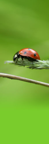 Hocq emballages, natural packaging specialists