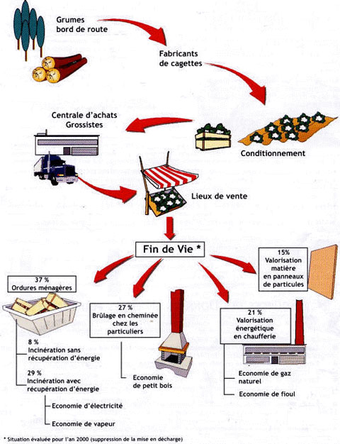 cycle de vie des emballages bois et recyclagee des déchets bois