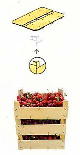 PEFC, NIMP15 standards