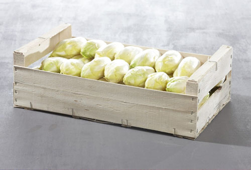 Plateau 8kg endives ou petits choux jusqu' 1,5 kg